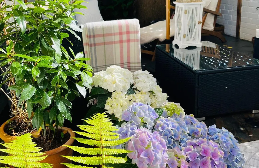 The Terrace Garden Flat-1
